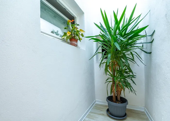 Apartmán Casa Busato - P1 *